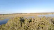 Battleground Everglades Series Trailer