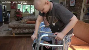 CAN CANNABIS KILL CANCER IN KIDS?