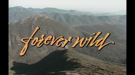 Video thumbnail: Mountain Lake PBS Documentaries Forever Wild