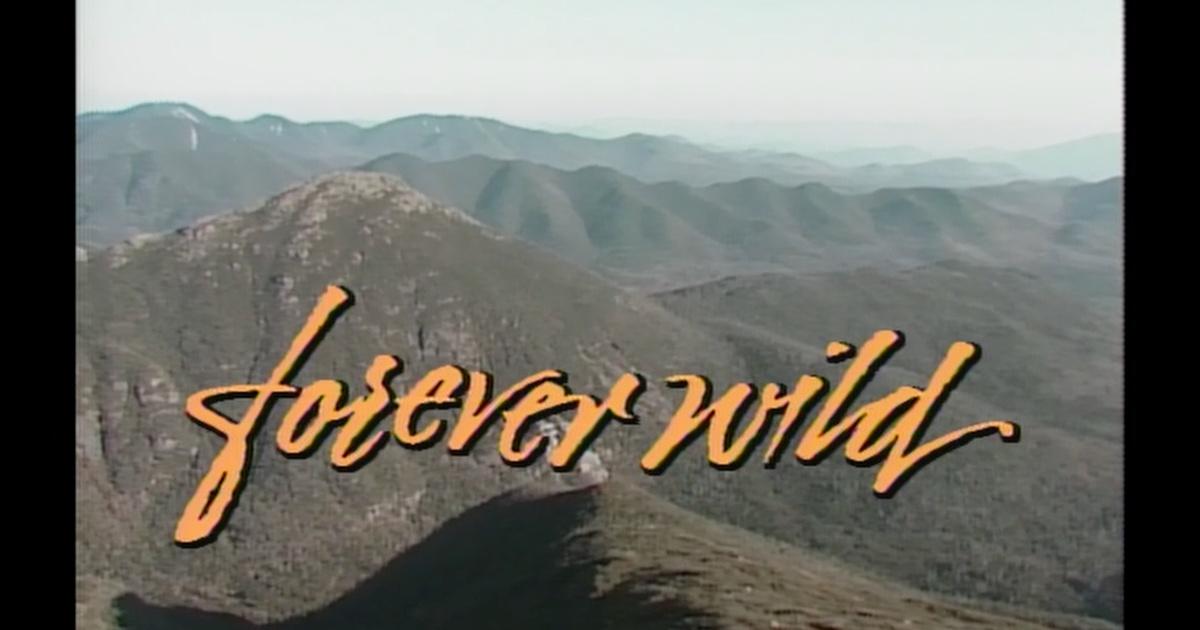 Mountain Lake PBS Documentaries, Forever Wild