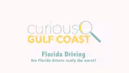 Are Florida the worst drivers?