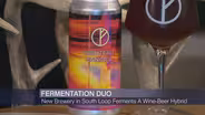 Chicago Brewery Ferments Both Beer and Wine