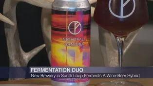 Chicago Brewery Ferments Both Beer and Wine