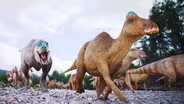 Did Dinosaurs Abandon Their Young to Help Them Survive?