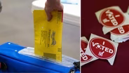 Primary Elections Set