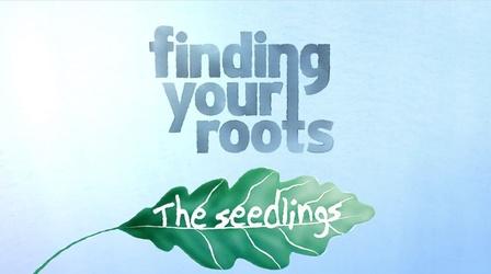 Video thumbnail: Finding Your Roots Finding Your Roots: The Seedlings Trailer