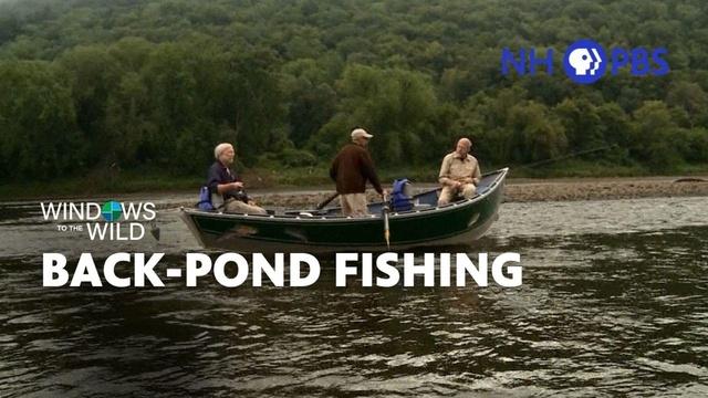 Back-Pond Fishing