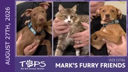 8/27/2026 | Wheely Tired, Aemond and Daemon | Mark's Furry Friends Extra