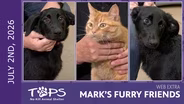 7/2/2026 | Cruz, Piper and Mae Mae | Mark's Furry Friends Extra