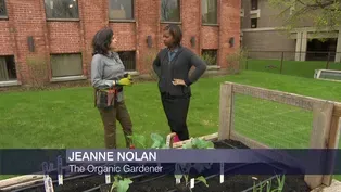 Cold-Tolerant Crops a Safe Choice for Spring Planting