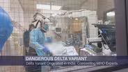 What to Know About the Delta Variant