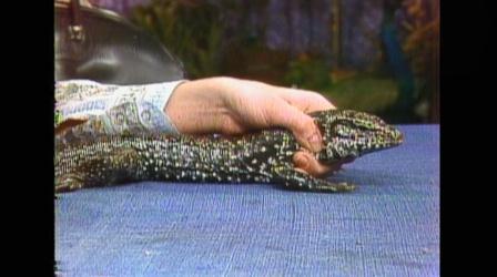 Video thumbnail: MPT Classics Hodgepodge Lodge: “Exotic Animals”