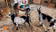 Barn Sanctuary, Michigan hot 50 jobs, DJ Minx & Holographic