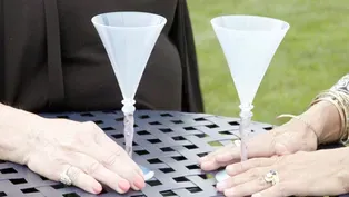 Appraisal: 1928 Frederick Carder Steuben Martini Glasses