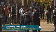 Return of Police Gang Database Decried by Oversight Board