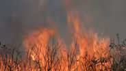 Wildfire:  Wildfire Characteristics