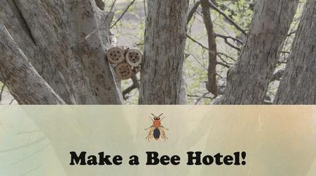 Video thumbnail: Let's Grow Stuff Make a Bee Hotel!