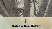 Make a Bee Hotel!