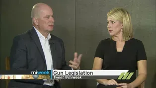 Gun Legislation