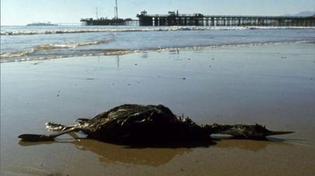 Video thumbnail: Earth Focus Tackling Ocean Challenges