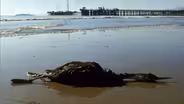 Tackling Ocean Challenges