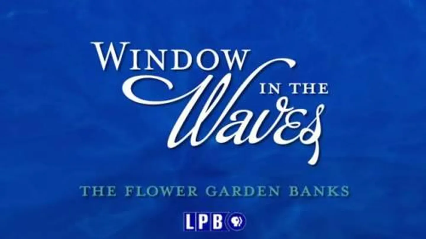 Window in the Waves