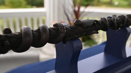 Video thumbnail: Antiques Roadshow Appraisal: Carved Folk Art Cane, ca. 1890