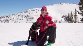 Video thumbnail: This Is Utah Avalanche Rescue Dogs