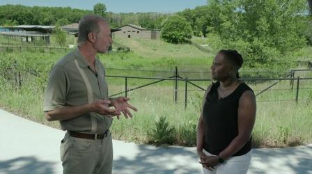 Video thumbnail: Wisconsin Life Angela Fitzgerald visits the International Crane Foundation