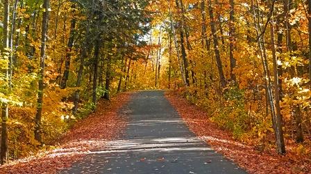 Video thumbnail: LANDMARKS LANDMARKS: Classic Fall Colors Road Trip