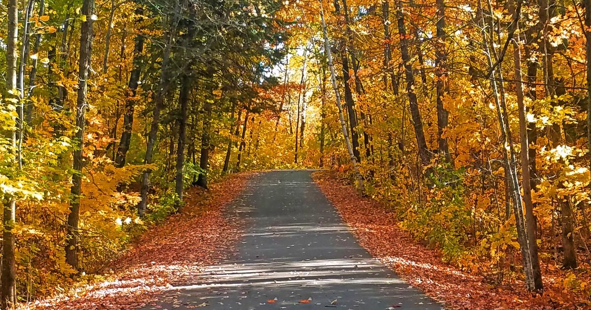 LANDMARKS: Classic Fall Colors Road Trip
