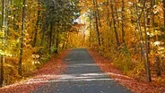 LANDMARKS: Classic Fall Colors Road Trip