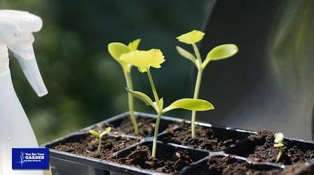 Video thumbnail: You Bet Your Garden You Bet Your Garden: S3 Ep. 26 Potting Soil or Compost?