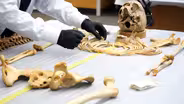 Forensic Science Gives Voice to the Dead