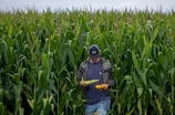 Farmers warn of food price spike as war drives up costs