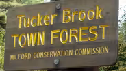 Milford | Conservation in Milford
