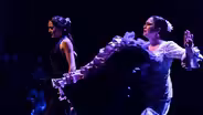 The Fire of Flamenco!