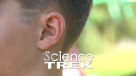 Video thumbnail: Science Trek Hearing: What is that flap of skin?