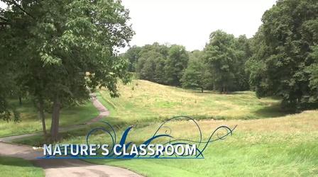 Video thumbnail: Ideastream Public Media Specials Nature's Classroom