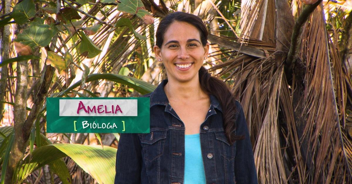SciGirls | Bióloga | Biologist – Amelia | PBS