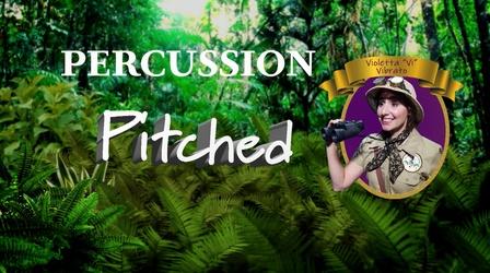 Video thumbnail: TSO Symphonic Safari Adventure! Meet Pitched Percussion Musicians!