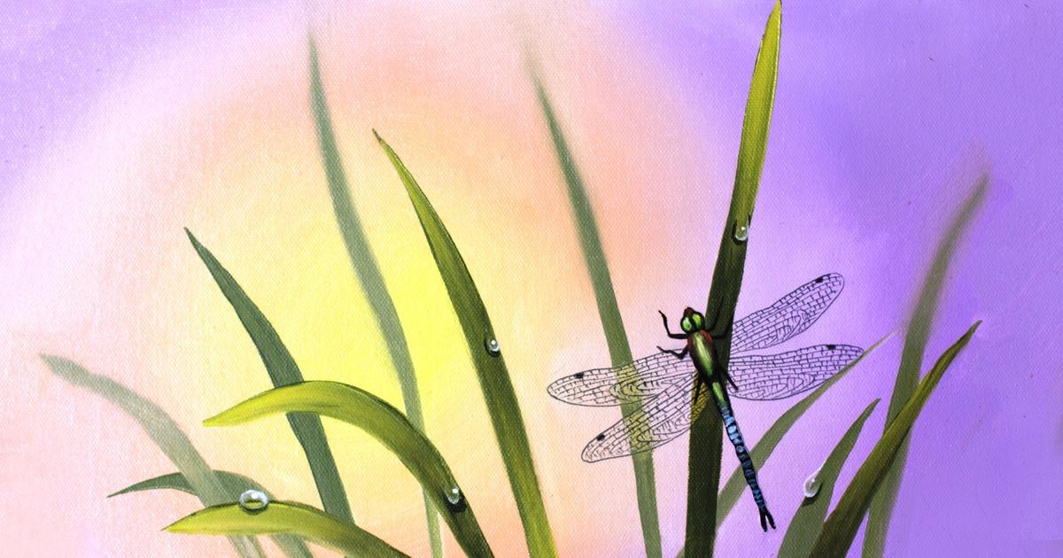 painting-with-wilson-bickford-wilson-bickford-dragonfly-part-1