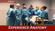 Experience Anatomy