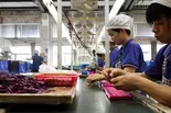 What's next for Trump's trade war after pausing tariffs