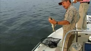Sunrise Trout