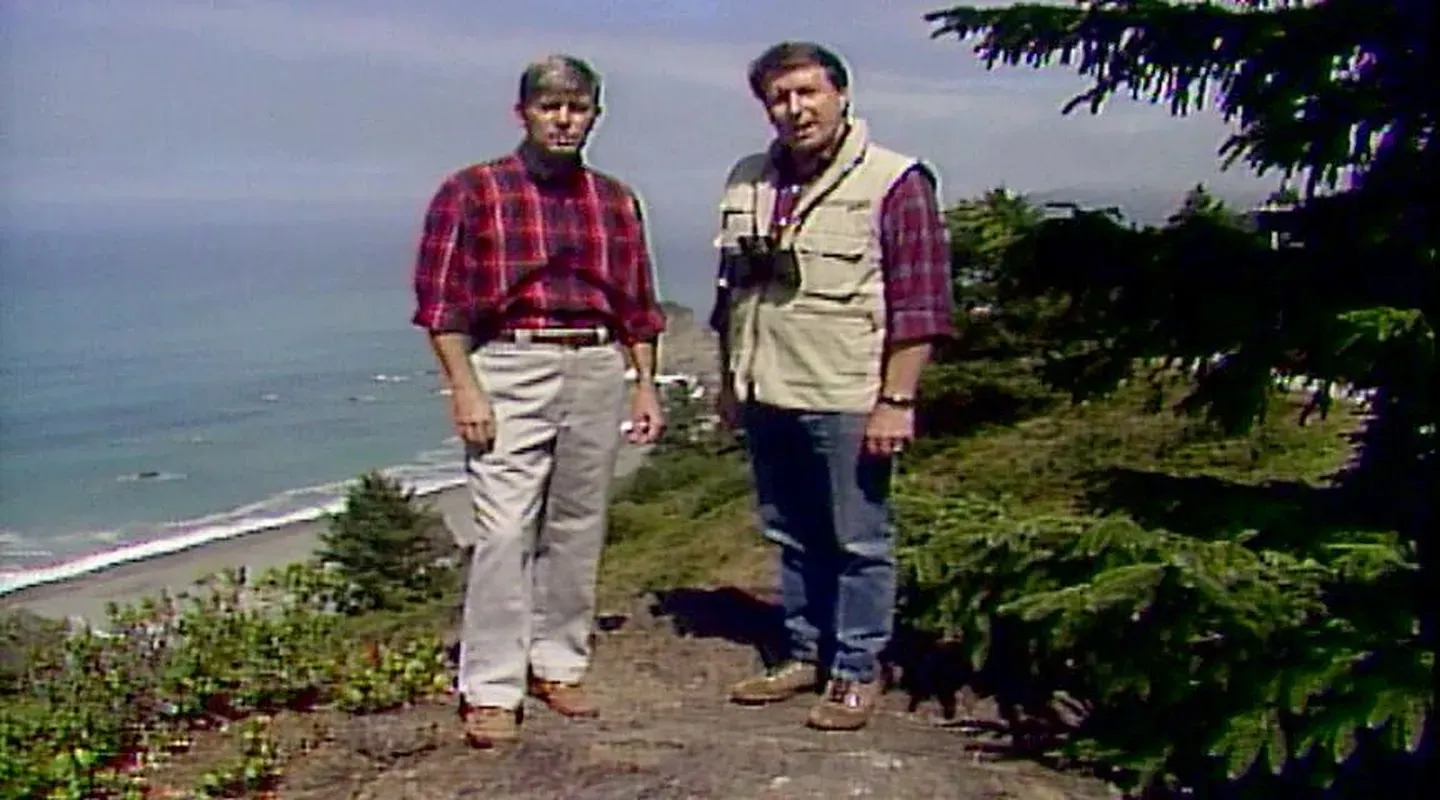 Redwood National Park (1990)