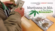 Marijuana in MA: Is the Grass Greener?