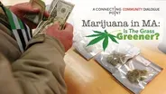 Marijuana in MA: Is the Grass Greener?