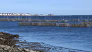 'Living shorelines' to aid communities at risk of flooding