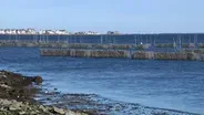'Living shorelines' to aid communities at risk of flooding